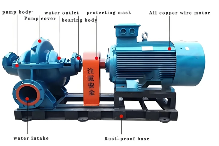 Cast Iron Double Suction Water Pump For Industrial Circulation System price